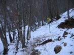 Il bivio nel bosco per il Rifugio Pialleral