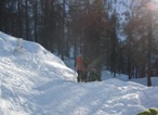 Un tratto nel bosco nei pressi del Rifugio Bogani