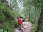 Il sentiero nel bosco che porta poi alla piana della Val Fiscalina verso il Rifugio Fondovalle