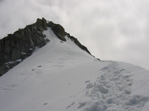 La cima della Presanella dalla cresta