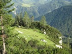 Bella radura nei pressi del bivio per il Rifugio De Gasperi