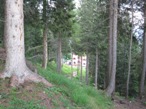 Dopo la risalita nel bosco si giunge al rifugio