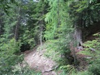 Scendendo dal Rifugio De Gasperi