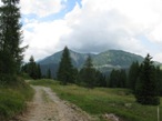 La strada che dalla Casera Sottopiova porta sulla strada del passo Ciapigotto e al rifugio Fabbro