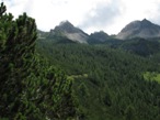 La verde e boscosa conca che ospita la Casera Valminon