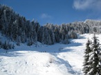 Il pendio da risalire e poi raggiunto il limite del bosco si piega a sinistra riprendendo la strada