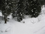 Il bivio poco visibile per il rifugio