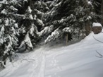 la risalita nel bosco adiacente il rifugio
