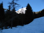 L'inizio del bosco lungo la carrozzabile