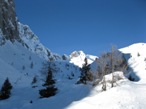 La parte sommitale, usciti dal bosco o dal canale. Qui si pu proseguire nel vallone in ombra, oppure risalire i dossi soleggiati giungendo alla malga Barbarossa.
