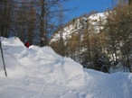 Il percorso all'interno del bel bosco, segue il tracciato estivo