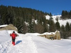 L'Alpe Pragrande, il percorso raggiunge poi quelle superiori visibili in alto a destra