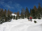 Al limitare del bosco si intravede il ripido pendio da risalire fino all'anticima