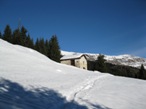 L'alpe di Ronco Fichetto