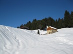 Le baite dell'Alpe Calzaniga e la parte terminale del bosco