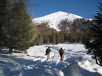 Dalla pista di fondo si accede al rado bosco che costeggia le piste