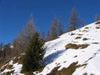 Un tratto di percorso al limitare del bosco. I pendii hanno inclinazioni diverse ma tra i 24 e i 30