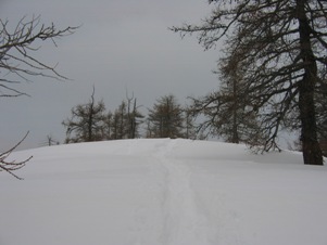 La cima del Monte Portola