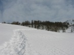 da Pra de Bosc verso il Col Portola, sullo sfondo e dietro il bosco si trova il Monte Portola