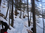 Il tratto di salita lungo il bosco. Si nota il pendio ripido, ma discretamente protetto dal bosco.