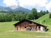 Grindelwald - Casetta nel prato