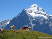 Grindelwald - il famoso Eiger