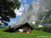 Grindelwald - Casetta sotto la Wetterhorn