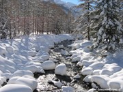 Val Ferret - Torrente innevato