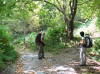 Il Bivio per l'eremo di San Viviano e per il Passo Tambura, noi seguiamo a destra