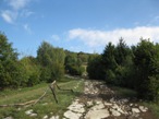 L'ampia dorsale che si immette nel bosco che conduce al Passo Spino