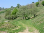 Dopo qualche minuto di cammino, si incontra subito il bivio dove salendo porta al sentiero alto, mentre proseguendo sulla sinistra si percorre il sentiero basso descritto