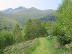 Il tratto di sentiero che conduce all'alpe Pesci, sulla sinistra si nota la cima del Monte Generoso