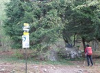 Uno dei diversi bivi che si incontrano nel bosco. si segue sempre il sentiero 1