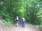 Seguendo il sentiero si arriva al bivio dove si prende il sentiero a destra che sale ed entra nel bosco