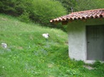La baita Pesciola