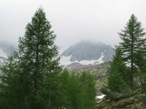 Usciti dal Bosco si intravede in lontananza il Rifugio Allievi Bonacossa