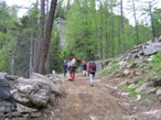 La continuazione della carrabile all'interno del bel bosco