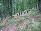 Il sentiero nel bosco che riporta al rifugio