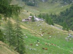 Ricongiunto con il sentiero 122 si vede il Rifugio Boffalora da dove siamo partiti