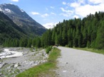 La carrozzabile che dalla ferrovia si dirige verso il ghiacciaio. In fondo a destra, dove inizia il bosco, parte il sentiero che lo risale