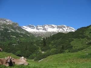 Pascoli lungo il sentiero