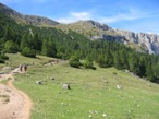 Un tratto del sentiero verso il Rifugio Bolzano