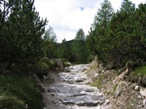 Il sentiero che passa tra la boscaglia, questo percorso lo si incontra dopo il rifugio di fondo valle.