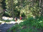 La partenza da Vallesinella, si entra nel fitto bosco di Larici