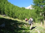 Il sentiero che entra nel bosco