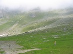 Il sentiero che da Rifugio risale e porta sotti i pendii del Col de Nannaz