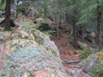 Spostandosi verso sinistra della pista da sci, si entra nel bosco prendendo il sentiero che conduce a Frantze