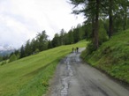 Il tratto di strada che porta dal Crest verso il lago delle Rane. In fondo si nota il bivio con i cartelli gialli