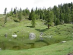 Il Lago delle Rane