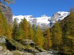 Nei pressi del Pian di Verra in autunno. I colori sono stupendi